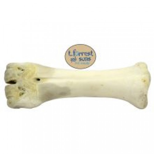 T. Forrest & Sons Calcium Shank Bone T. Forrest & Sons Calcium Shank Bone