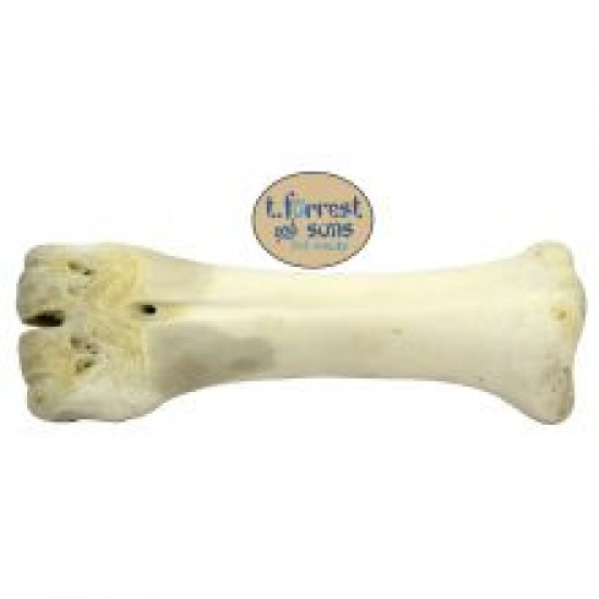 T. Forrest & Sons Calcium Shank Bone