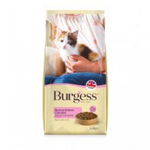 Burgess Kitten Chicken Burgess Kitten Chicken