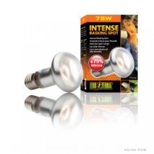 Exo Terra Intense Basking Spot - 75w Exo Terra Intense Basking Spot - 75w