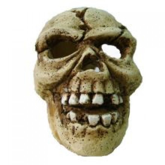 Supa Skull Ornament