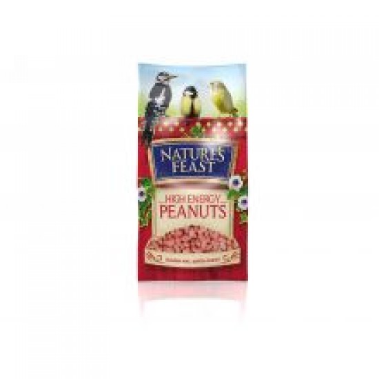 Natures Feast Energy Peanuts