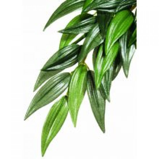 Exo Terra Silk Ruscus Plant