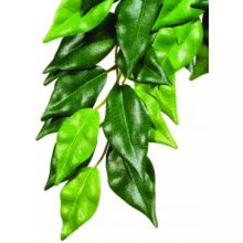 Exo Terra Silk Fiscus Plant Exo Terra Silk Fiscus Plant
