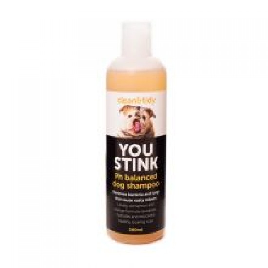 Clean'N' Tidy You Stink Shampoo