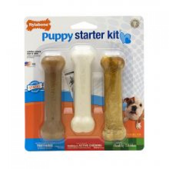 Nylabone Puppy Starter Kit