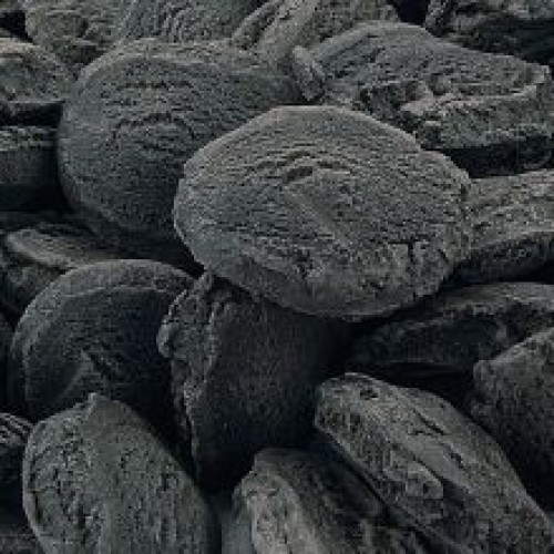 Pointer Cobs with Charcoal Pointer Cobs with Charcoal