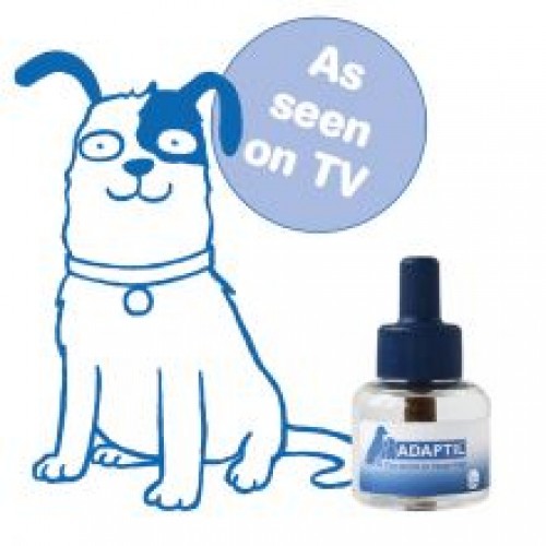 DAP Refill DAP Refill