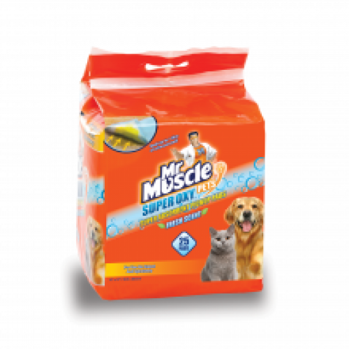 Mr Muscle Oxy Pickup Pad Mr Muscle Oxy Pickup Pad