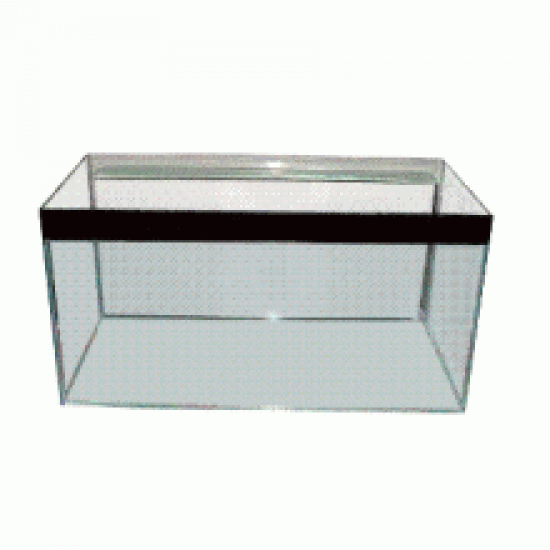 Jungle Trade Supplies Standard Aquarium