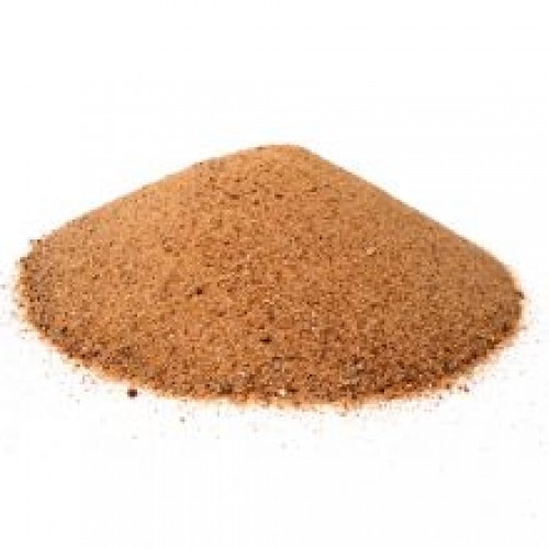 Reptile Sand Desert Red Reptile Sand Desert Red