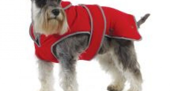 Ancol stormguard dog coat top