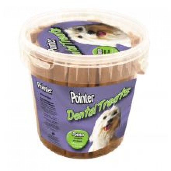 Pointer Dental Sticks