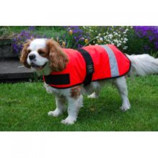 Animate Dog Coat Hi-viz Orange