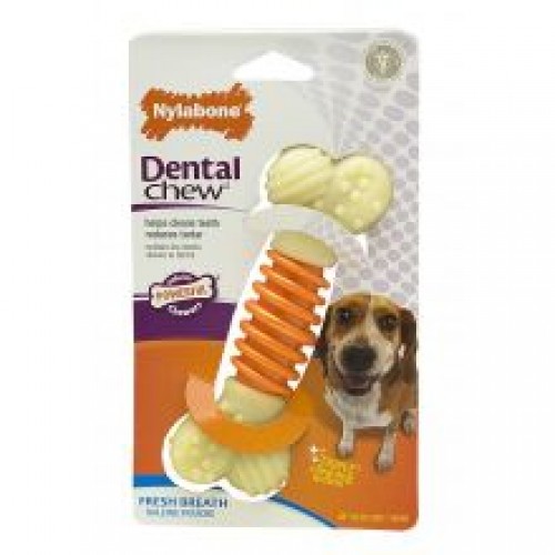 Nylabone Pro-Action Dental - Medium Nylabone Pro-Action Dental - Medium