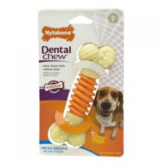 Nylabone Pro-Action Dental - Medium