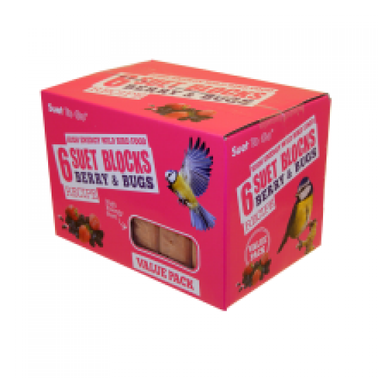 Suet To Go Berry & Bugs Blocks Value 6 Pack