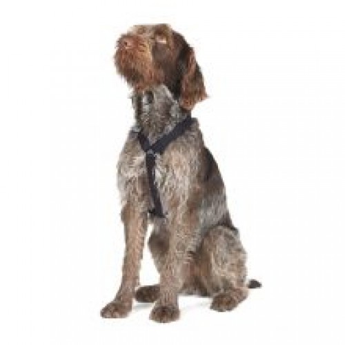 Ancol Nylon Harness 1-2 Black Ancol Nylon Harness 1-2 Black