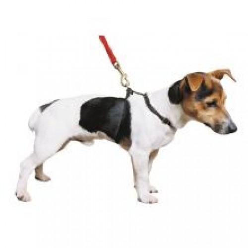 Ancol Nylon Harness 1-2 Blue Ancol Nylon Harness 1-2 Blue