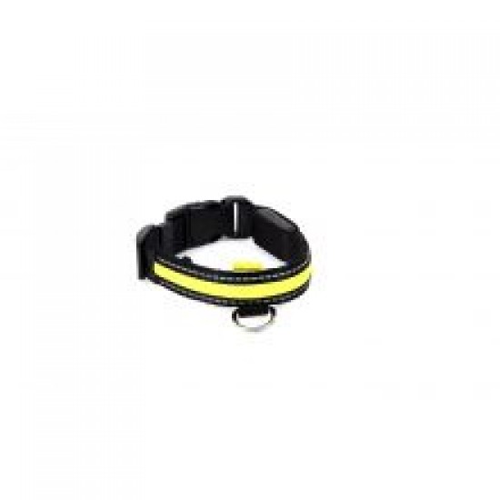 Animate LED Collar Green Medium