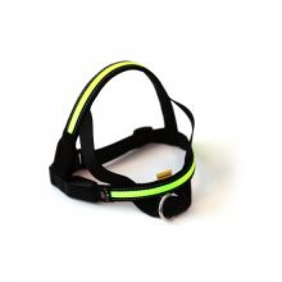 Animate LED Harness Green Large