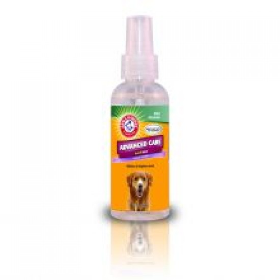 Arm & Hammer Dental Spray Spearmint