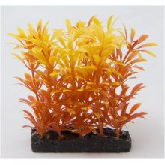 Fish 'R' Fun Aquarium Plant Orange