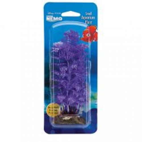 Animate Nemo Anbulia Plant Animate Nemo Anbulia Plant