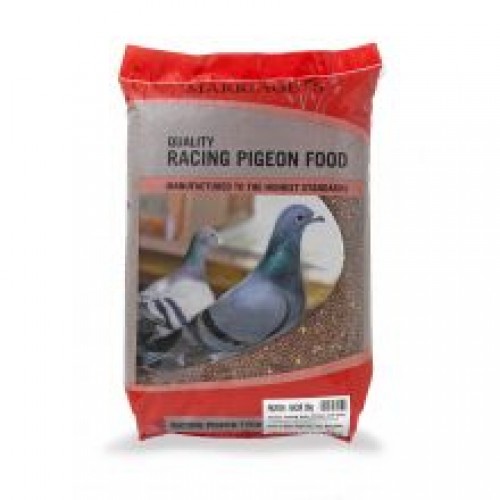 Marriages Pigeon Protein Racer